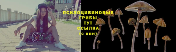 метадон Арсеньев