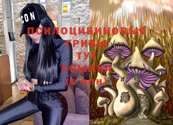 ГАЛЛЮЦИНОГЕННЫЕ ГРИБЫ Ельня