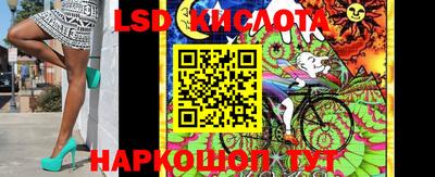 Альфа ПВП Севастополь