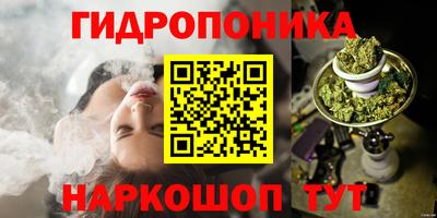 МДПВ Славгород