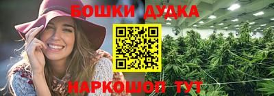 МДПВ Славгород