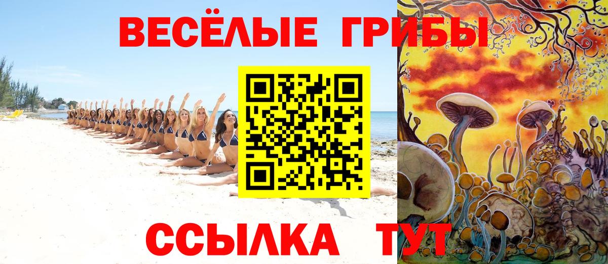 Псилоцибиновые грибы мухоморы Пушкино