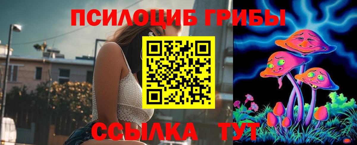 Псилоцибиновые грибы Psilocybe  Вход с VPN  Пушкино 